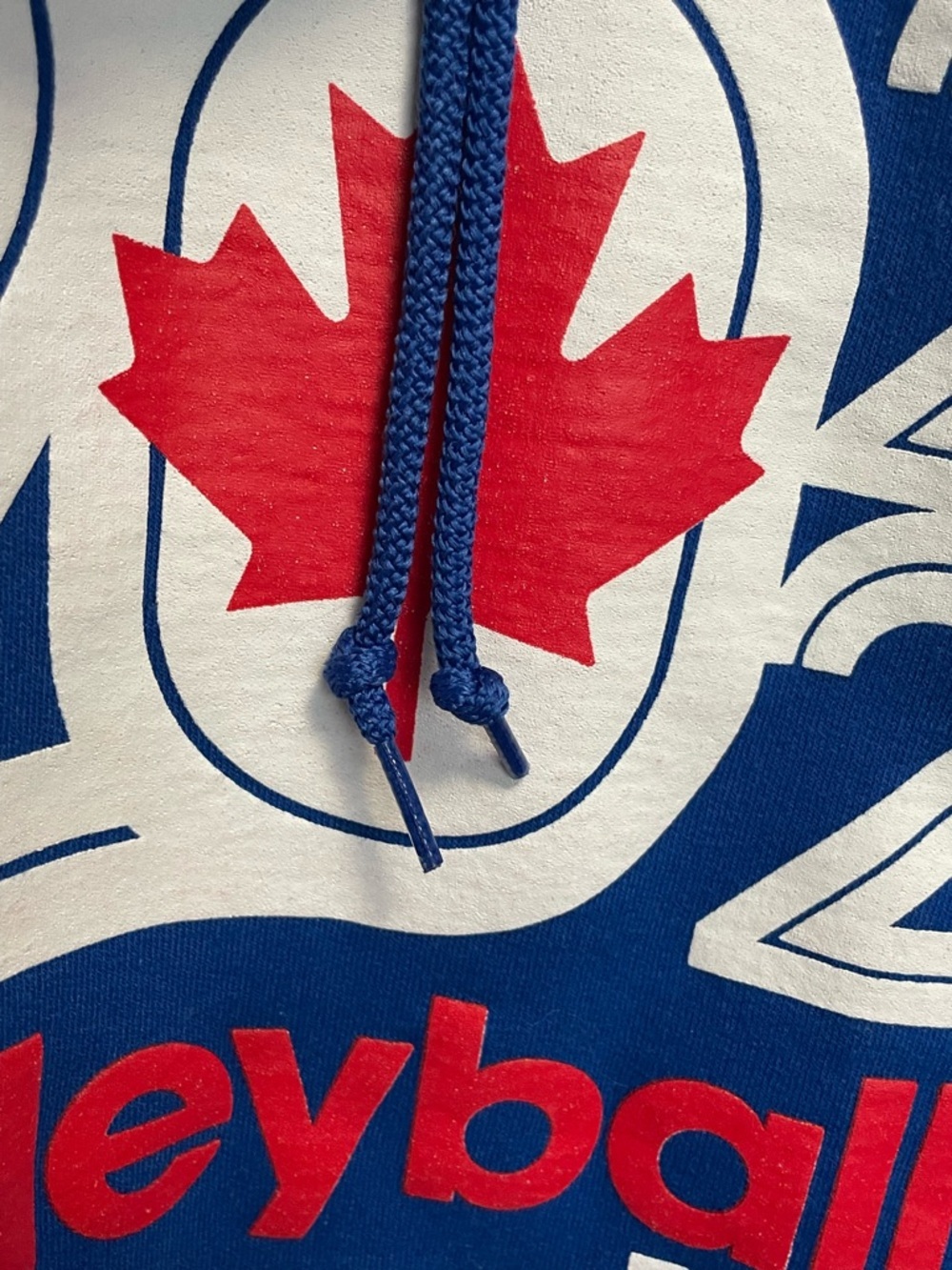 Volleyball Canada Nationals 2022 Royal Blue Hoodie Size Large - Picture 5 of 12